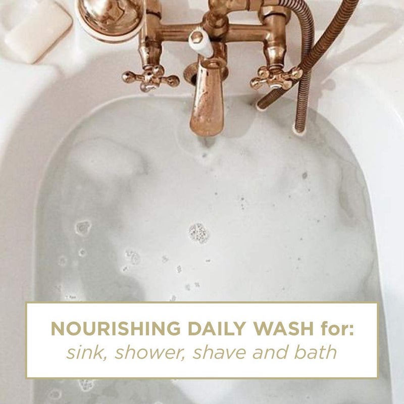 Zents Hand & Body Wash (Anjou Fragrance) | Hydrating Anti-Aging Cleanser with Organic Shea Butter & Aloe for Dry Skin | Gentle & Nourishing | 10 fl oz - Image 2